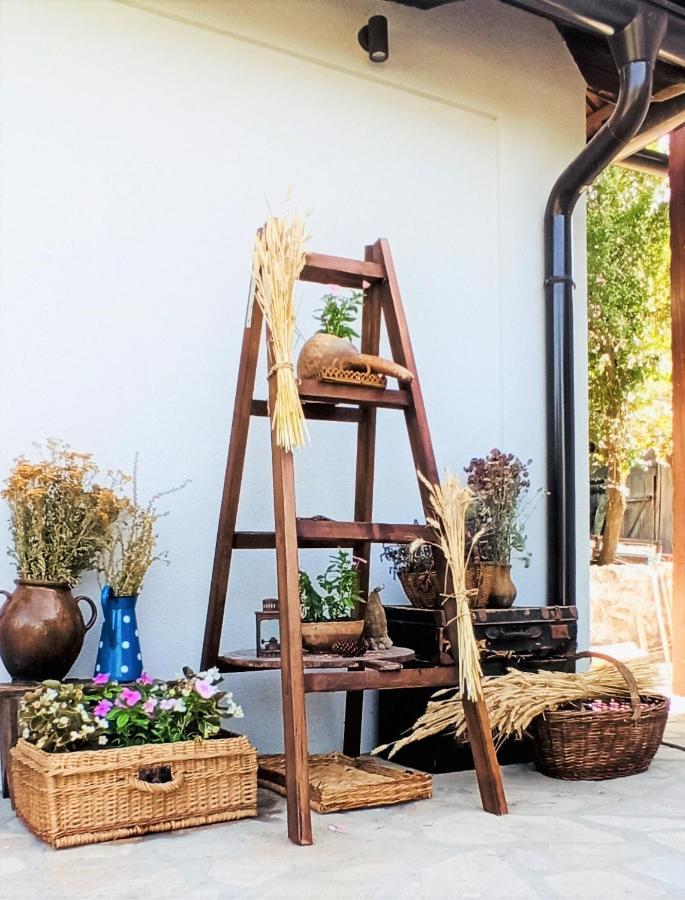 Apartamento Onomad Boljevac Exterior foto